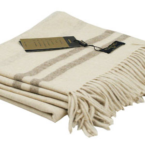   Erdenet CAP09004