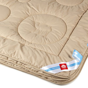    Pure Camel/  