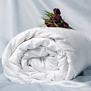  Comfort 