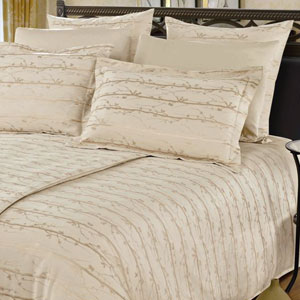   Arya Baciarsi Cornsilk