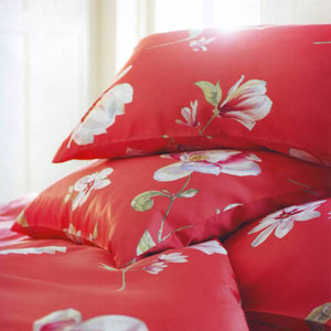   ELODIE Noblesse orchidee