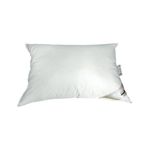 Exclusive down soft ()