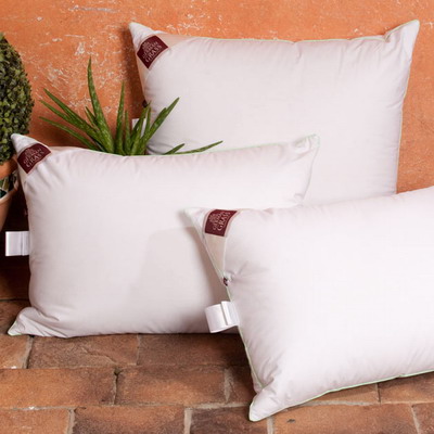   3D ALOE VERA GRASS ()